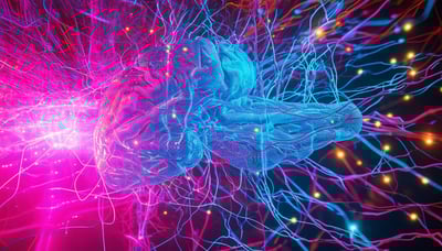 Lessons in Optimization from the Neuromotor System